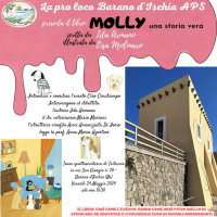 Libro: Molly una storia vera