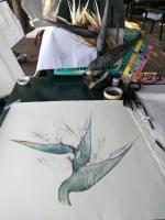 MortellaBotanica3