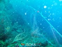 Diving_Sub_Ischia_mare-1045
