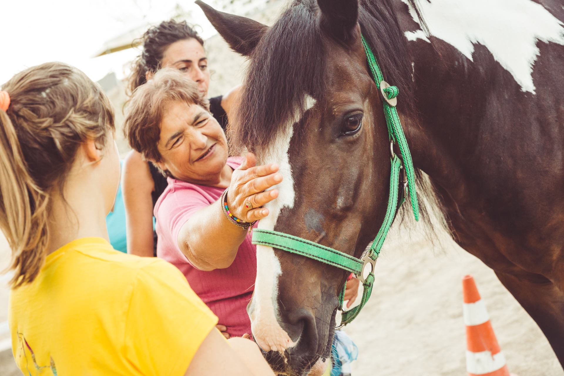 Cavalli come terapia per i diversamente abili
