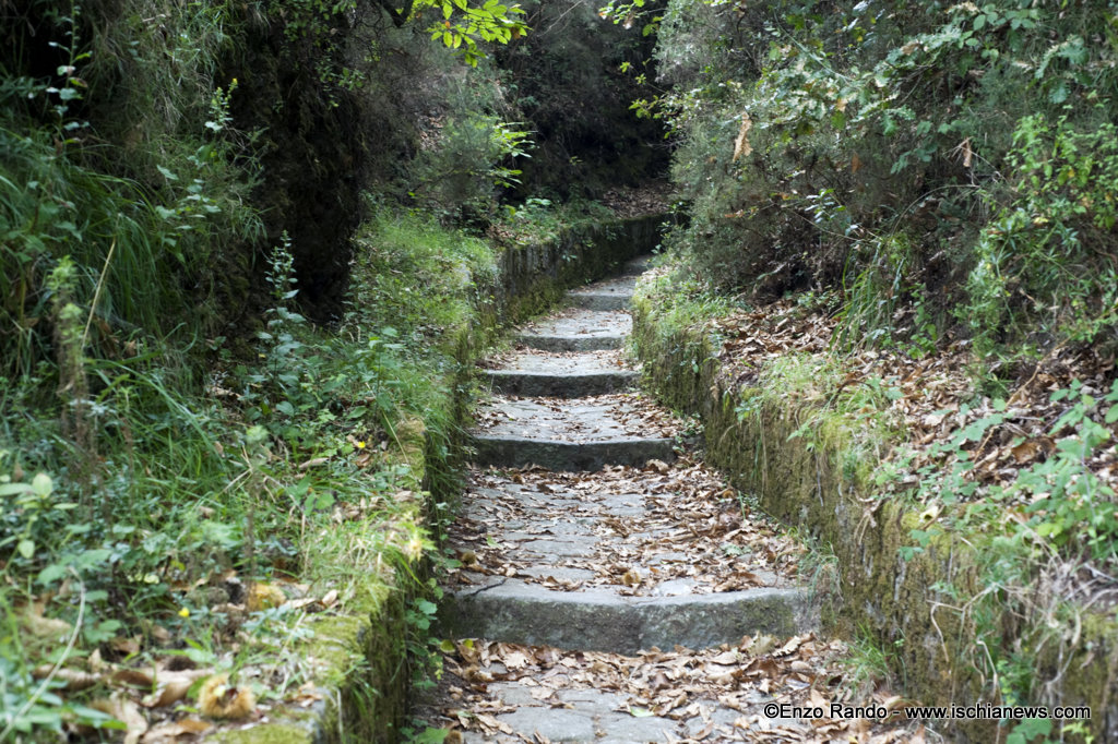 Sentiero per Buceto