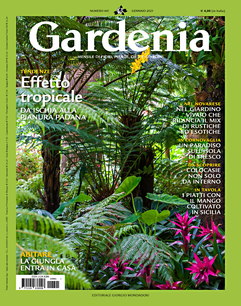 Gardenia N. 441 Gennaio 2021