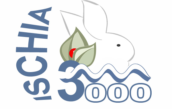 logo ischia3000