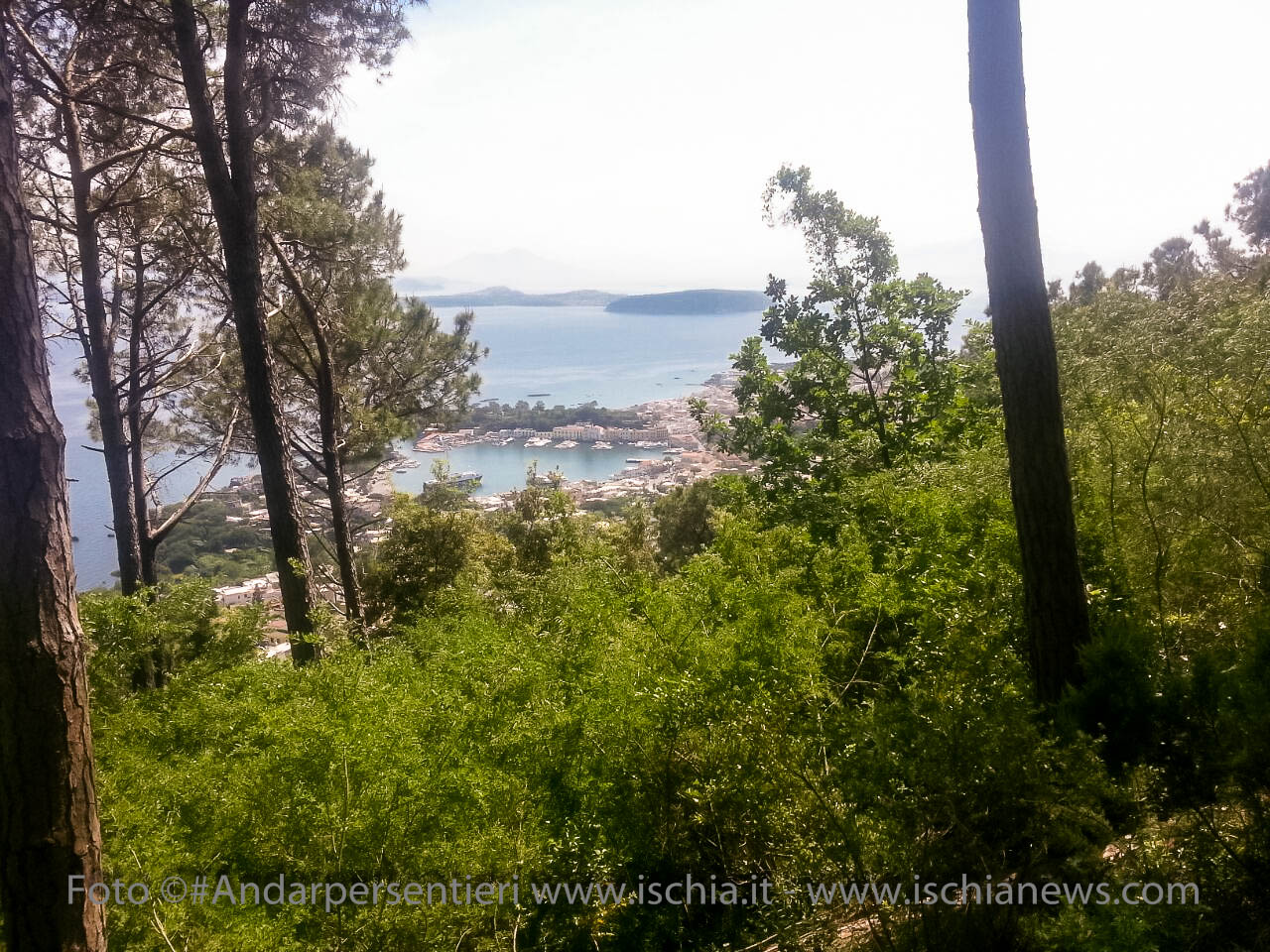 Andar per sentieri Bosco della Maddalena nel comune di Casamicciola Terme, vista sul porto di Ischia - isola d'Ischia