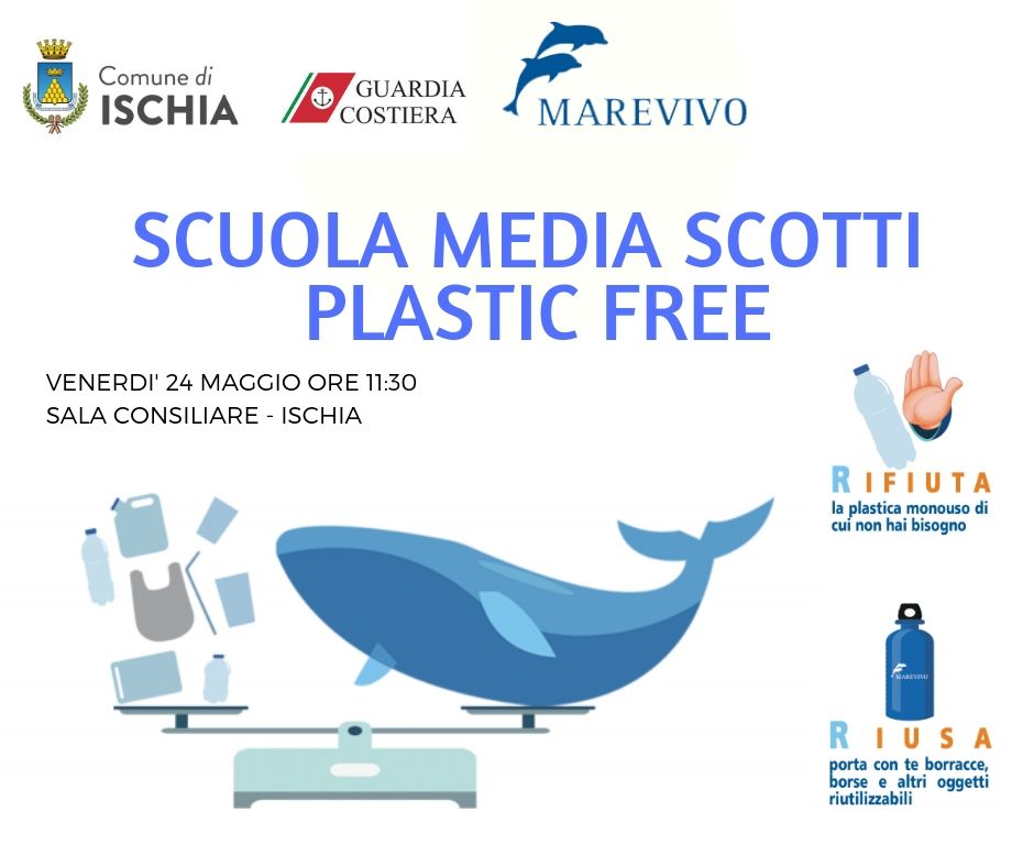 Scotti plastic free