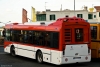 Autobus Ischia